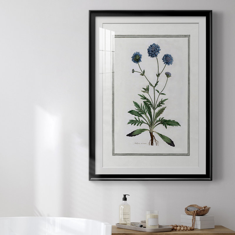 «Soft Botanical II», reproduction encadrée de qualité supérieure - prête à être accrochée, Cadre noir
