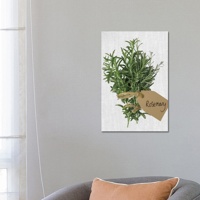 Rosemary by Assaf Frank - Wrapped Canvas Print, 66.04 cm H x 45.72 cm W x 1.91 cm D