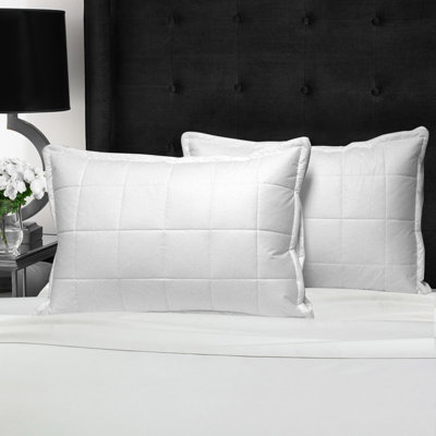 Oreiller en duvet d'oie Kittredge