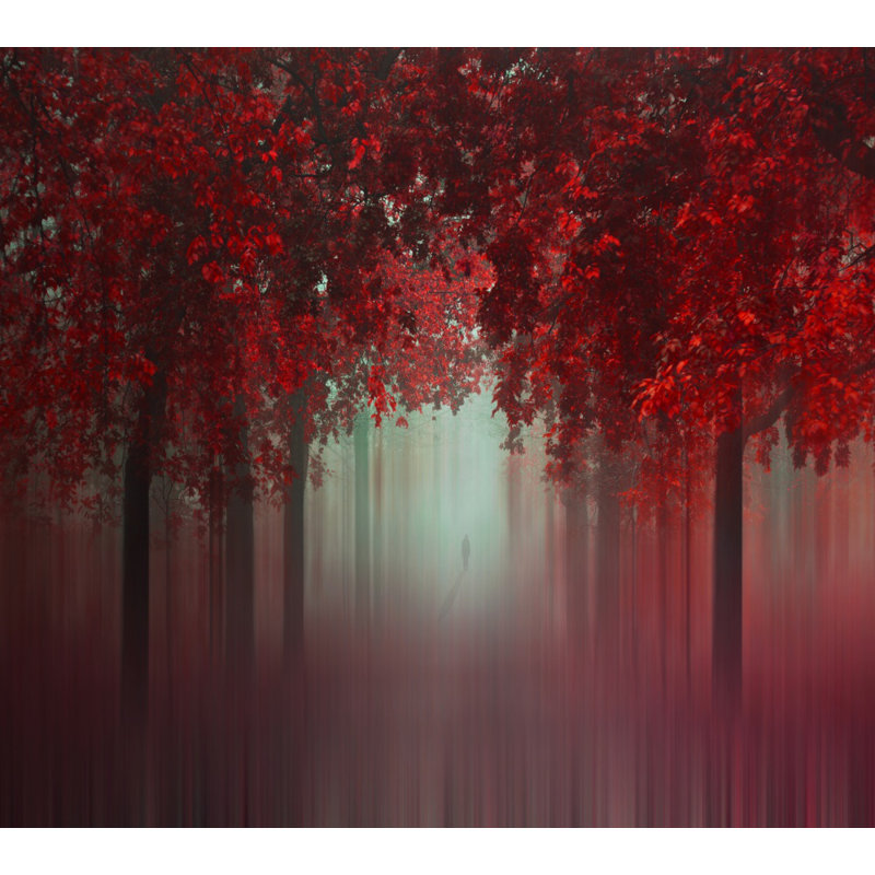 Wrapped Canvas Print, 60.96 cm H x 91.44 cm W