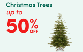 Christmas Tree Sale
