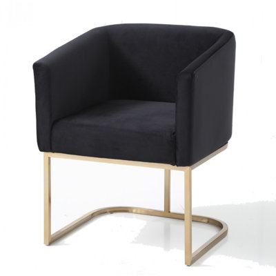 Echo Upholstered Arm Chair
