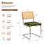 19.3" H Modern Rattan Dinning Chairs,Velvet Dining Chairs with Metal Frame (Set of 2)-1726640785-1717760921