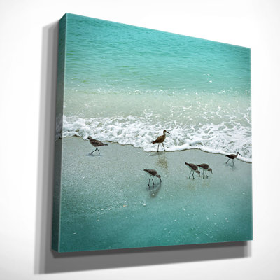 " Sandpiper Beach Party " by Nan