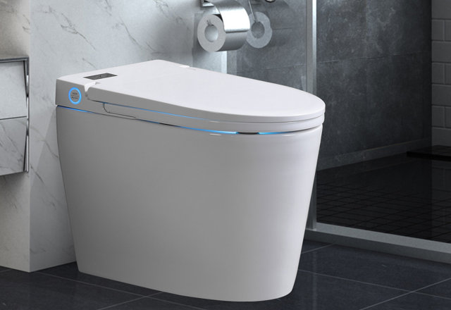 For You: Comfort-Height Toilets