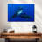 Triple Sharks-107886606