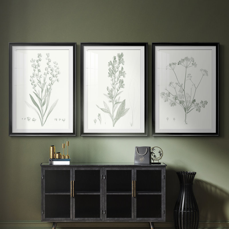 Botanical Study in Sage I - Impression sur mesure encadrée de qualité supérieure - 3 pièces, H 15 po x l 19 po, Noir