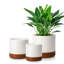 ZTHPOT Ceramic Pot Planter-739460441