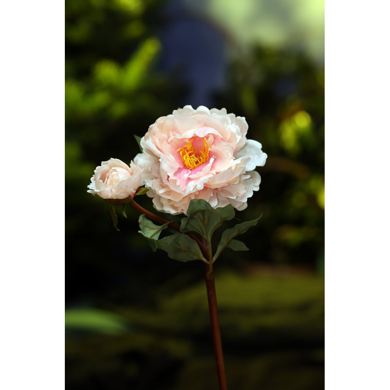 Peony with bud, Blush Pink