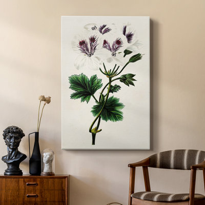 AntiqueFloralFolioIX - Galerie Cavas sur mesure