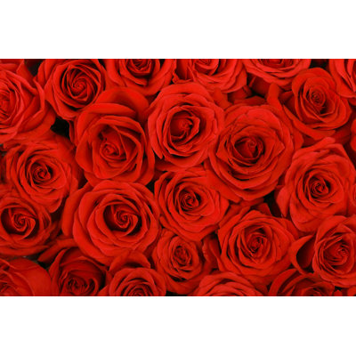 Deep Roses par - Photographie sur toile tendue