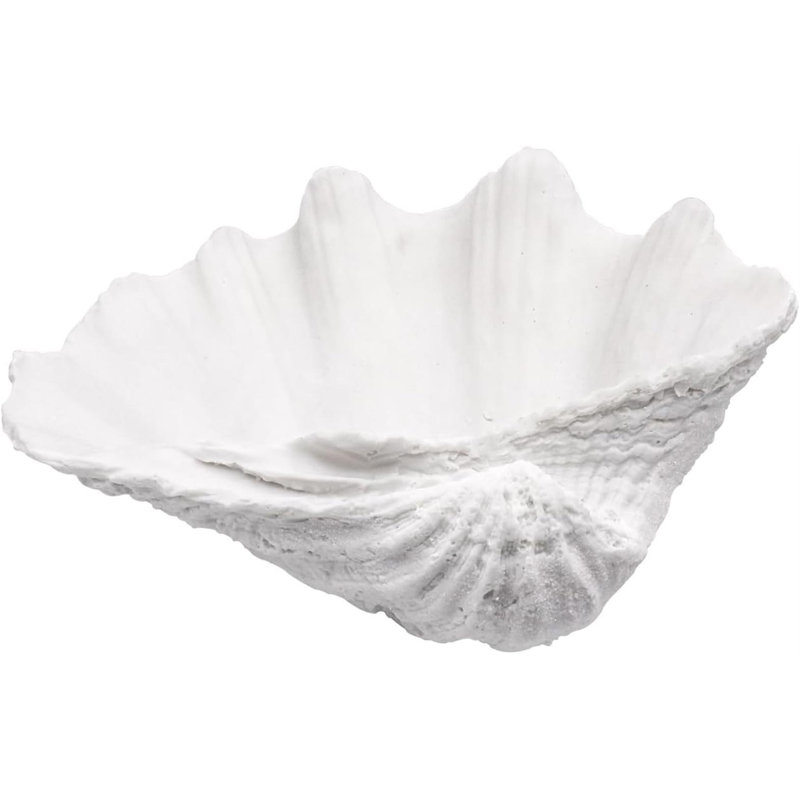 Wave Clam Bowl Sea Shell Decoration
