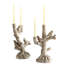 Look Out Candelabra