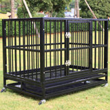 Kennel Pet Crate