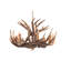 Lustre en bois 6 lumières Whitmer Eclectic