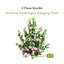 41 po Hortensia artificielle résistante aux rayons UV (intérieur / extérieur) - ensemble de 2-1464312007