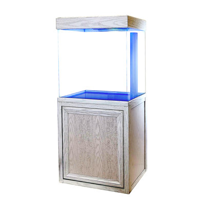 Yohan 40 Gallon Rectangle Aquarium Tank