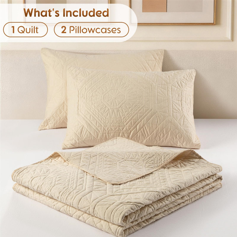 Ensemble de courtepointe 3 pièces 100 % coton à motif cachemire, Queen Quilt + 2 Shams, Beige