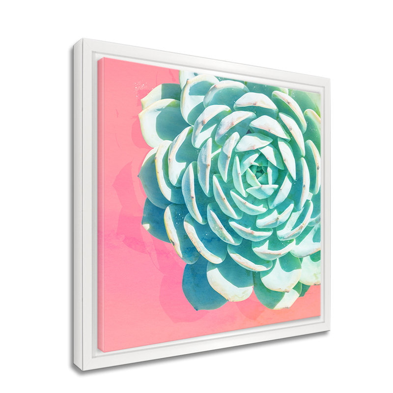 « réveil ii », impression sur toile succulent, H 10 po x l 10 po x P 1,5 po, Cadre blanc