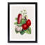 Wild Strawberry Illustration - Framed Print-55612420-55612421