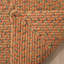 Woodlawn Handmade Braided Cotton Orange Area Rug-22810482