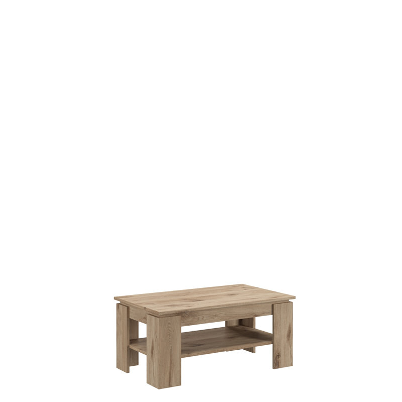 Heinaman 4 Legs Coffee Table with Storage, Nox Oak