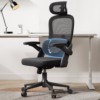 Ergonomic Mesh Office Chair with Adjustable Lumbar Support and Padded Armrests, for 5