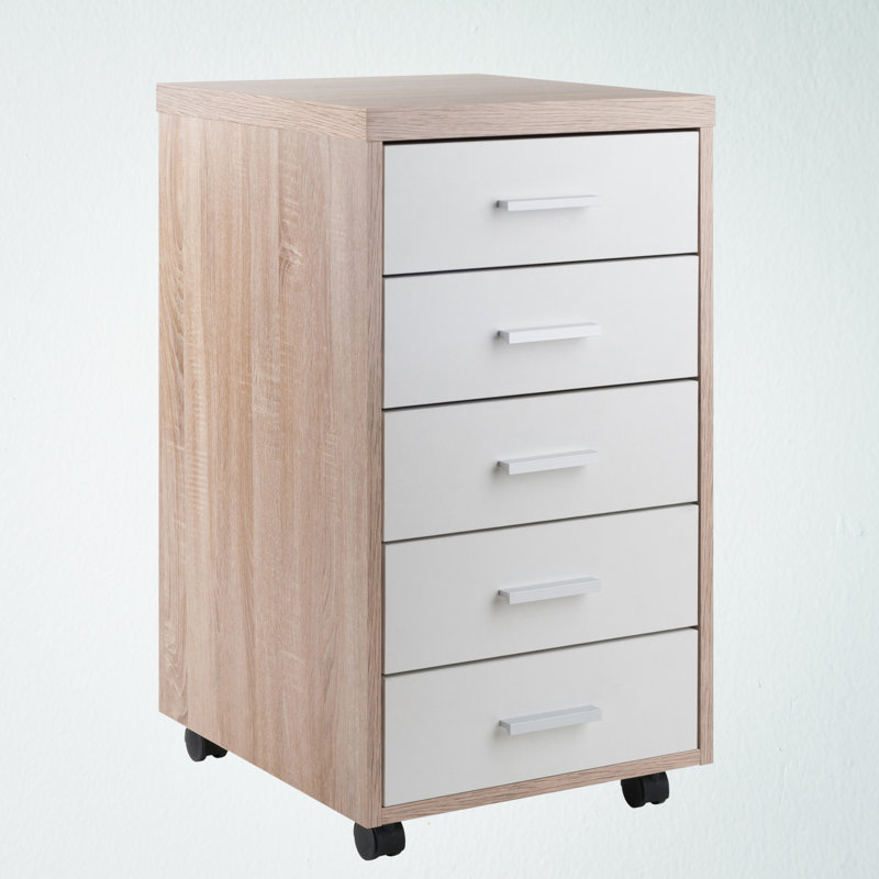 Dandoy 5-Drawer Storage Cabinet with White Finished Wood, 28.96'' H X 15.59'' W X 17.47'' D