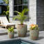 Petit pot à fleurs rond en béton 11 po avec rayures bleu sarcelle et trous de drainage pour l'intérieur et l'extérieur-183621705-183621710