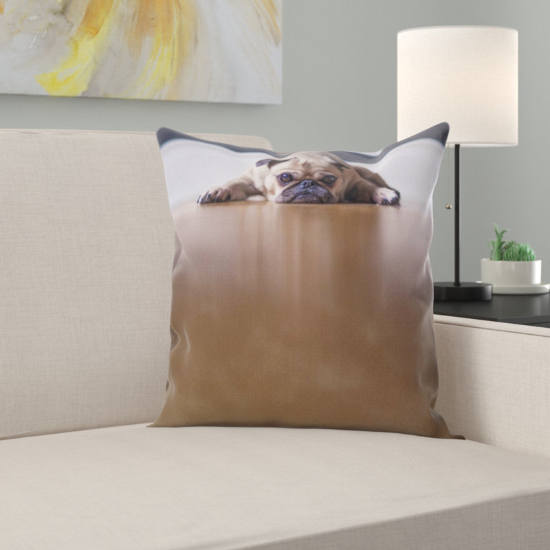 Coussin carlin