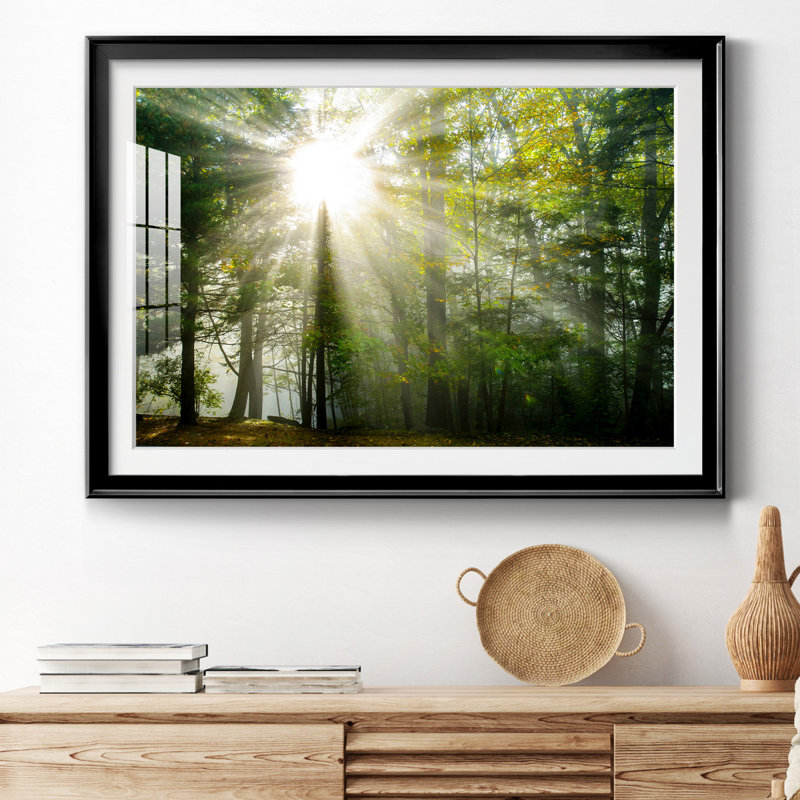 Light and Trees II - Photographie avec cadre, Cadre noir, H 18,5 po x l 24,5 po x P 1,5 po