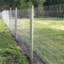 Rouleau de clôture en fil métallique, argent poli, filet gradué pour la protection du jardin, 3 pi x 164 pi, acier galvanisé de calibre 14