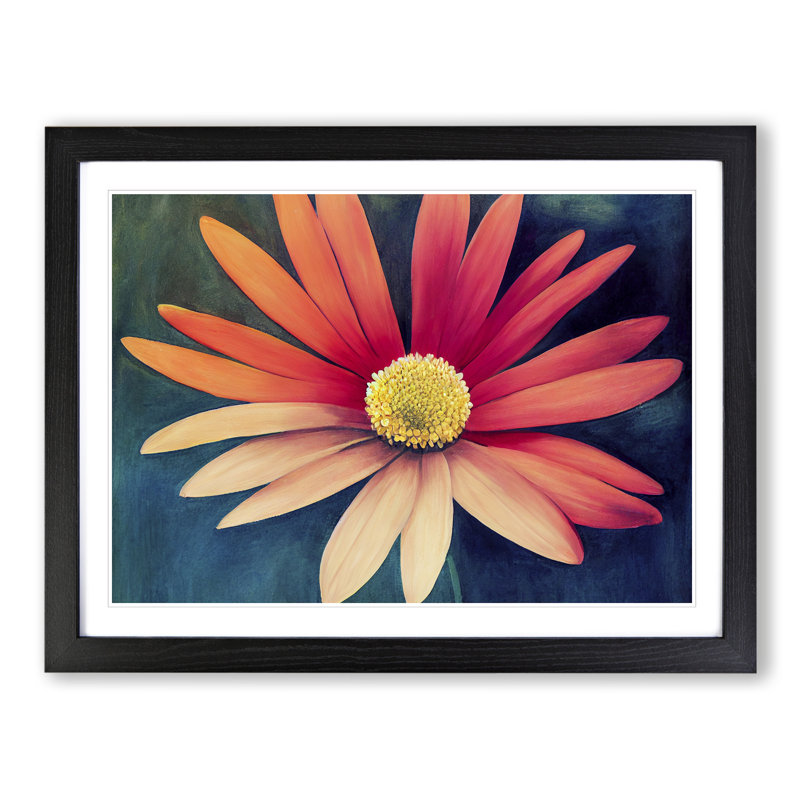 Animated Daisy Flower - Single Picture Frame Print, Black Framed, 46cm H x 64cm W x 2cm D