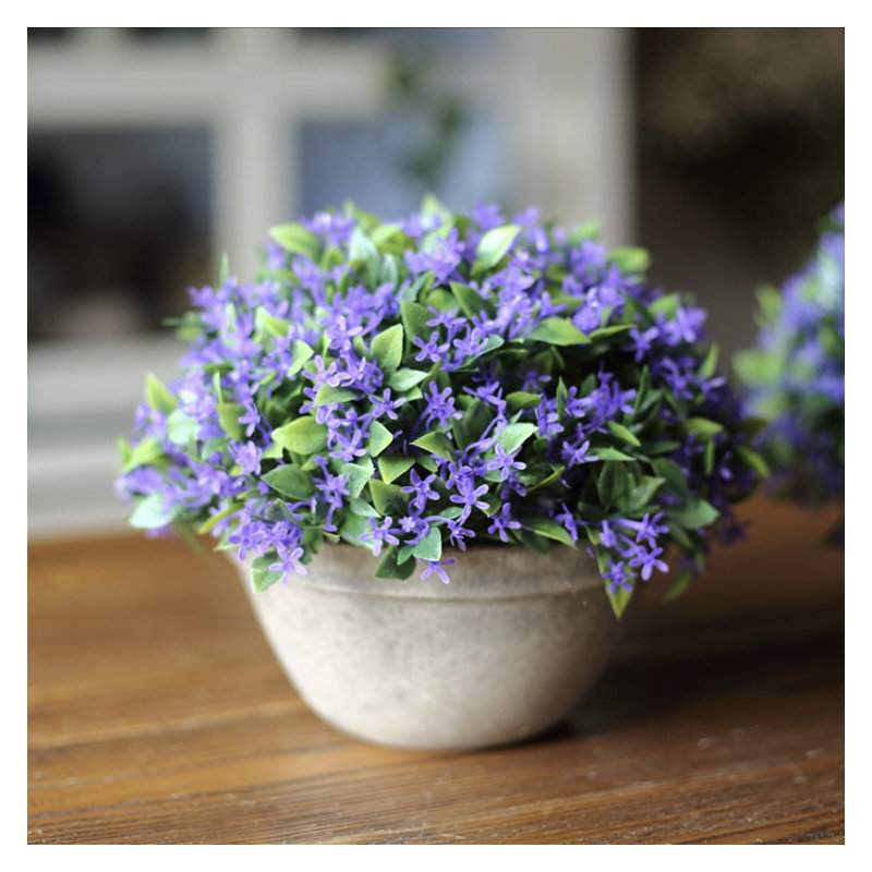 Topiaire buis rustique en pot, Petit