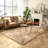 Blakes Solid Color Handmade Faux Sheepskin Area Rug in Beige-186776329
