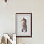 Stiff Seahorse - Single Picture Frame Painting-1124991920-1131985225