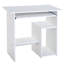 Computer Desk-37143247