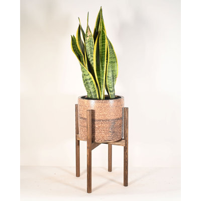 Heitzman Ceramic Pot Planter