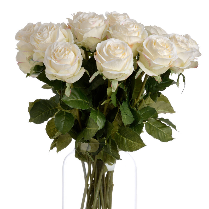 Anastasija Arrangement