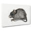 A Mouse by Jean Bernard - Wrapped Canvas Painting-55368259
