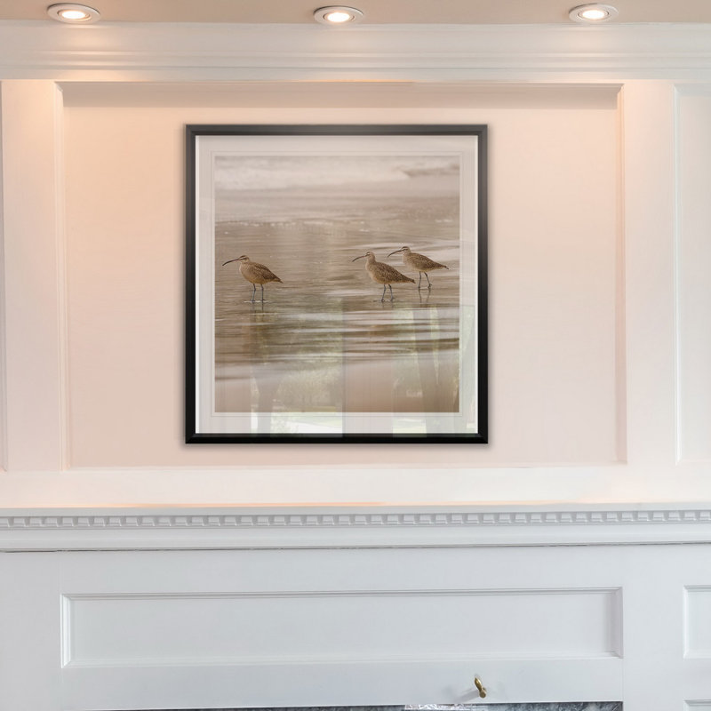 " Shore Birds I ", 30.5" H x 30.5" W x 1.5" D