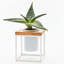 Petit porte-votive cube en verre-238828197