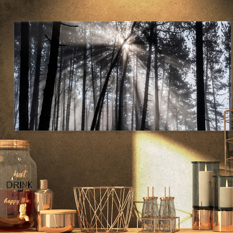 «Sunbeam Through Black White Forest», photographie, H 36 po x l 46 po x P 1,5 po, Toile tendue