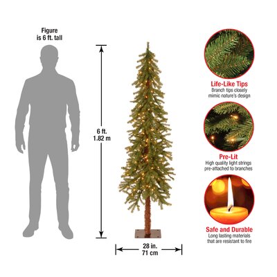 Steelside™ Lighted Cedar Christmas Tree & Reviews | Wayfair