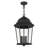 Heaney 3 - Light Outdoor Hanging Lantern-2024796030-2024796029