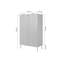 Alessja 2 Door Manufactured Wood Wardrobe-1613258868