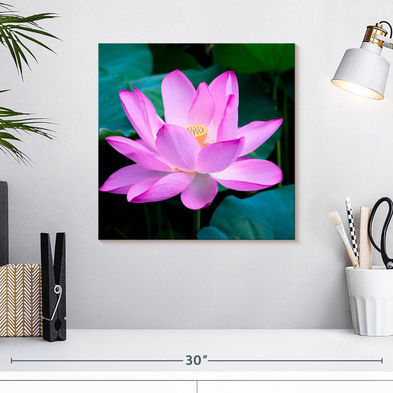 Lotus Blossom, 16" H x 16" W