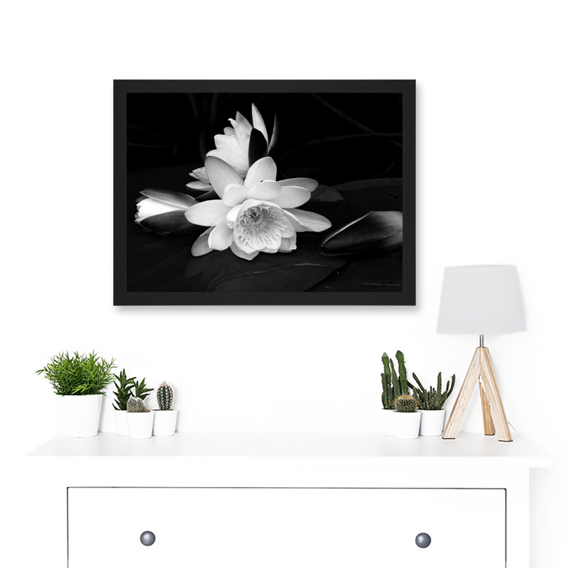 White Lilly Flower Bloom - Single Picture Frame Art Prints