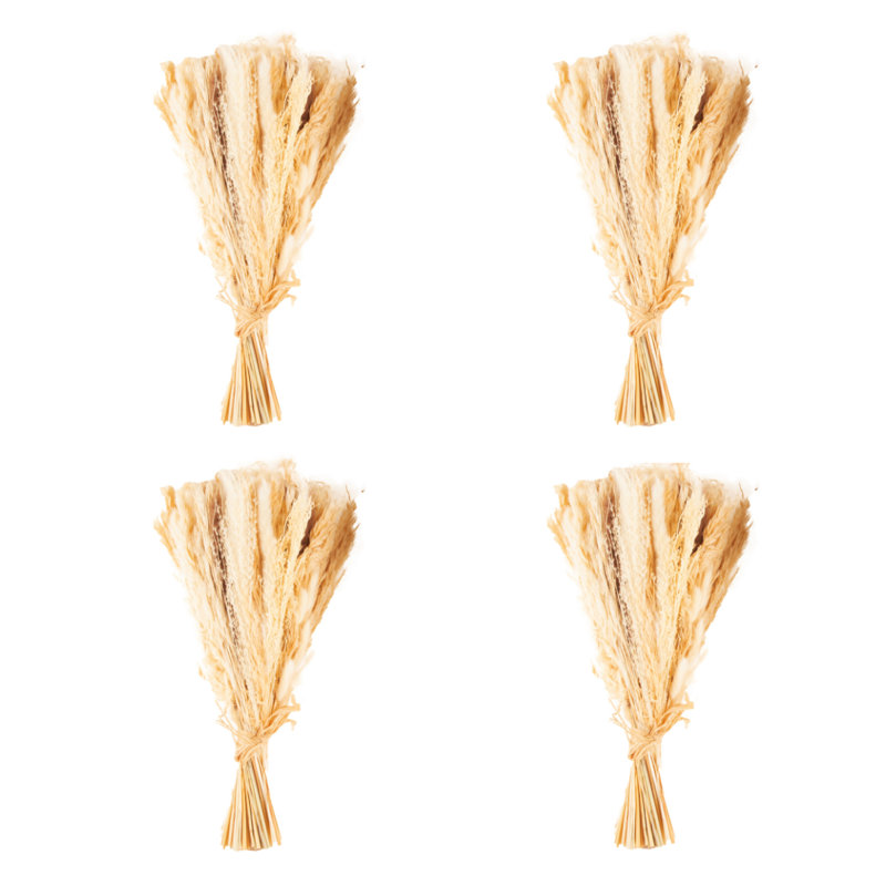 Idora Pampas Grass Arrangement, White