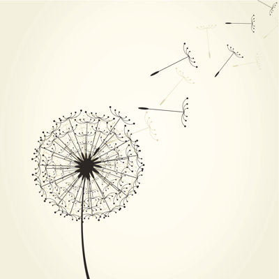 Dandelion by Aleksandr-mansurov-ru - Wrapped Canvas Print